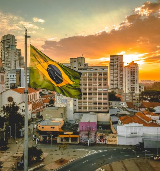 brazil selva de fintechs