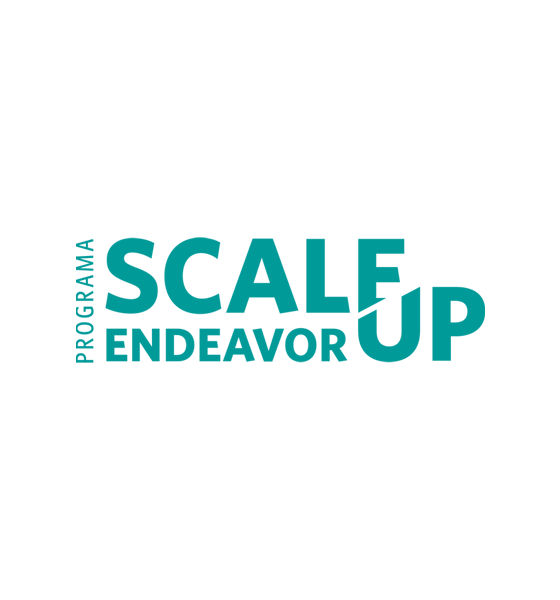 scale up endeavor