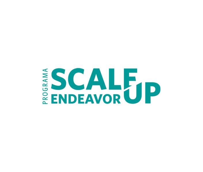 scale up endeavor